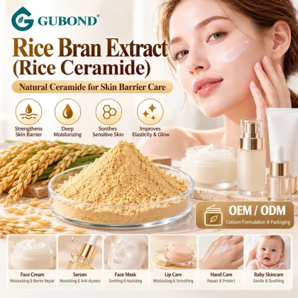 Rice Ceramide 0.5%–2% from Rice Bran Extract