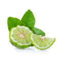 Undiluted Therapeutic bergamot essential oil