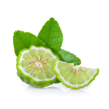 Minyak esensial bergamot terapeutik murni