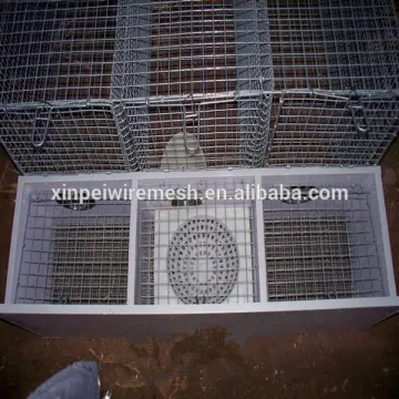 Hot dipped welded wire mesh mink cage manufacturer (china factory)