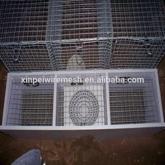 Hot dipped welded wire mesh mink cage manufacturer (china factory)