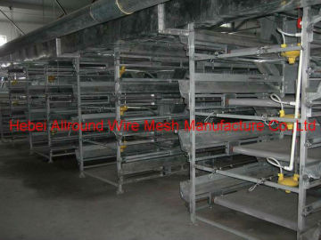 Pullet cage  in china 