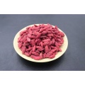 Quả Goji tươi khô