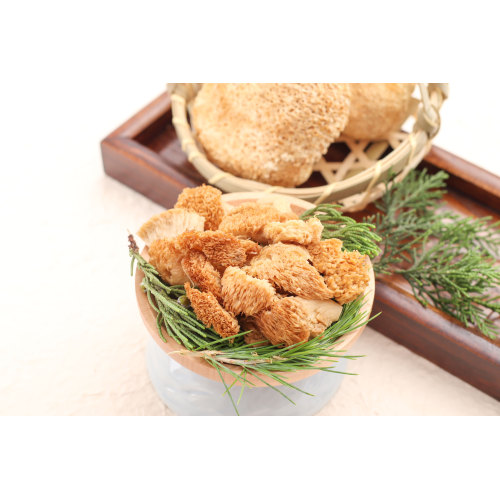 FINC Fresh Soilless Culture Lion&#39;s Canerop Mushroom