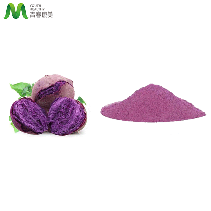 Valeur nutritionnelle élevée en poudre de patate douce violette