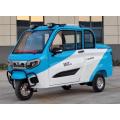 Best-selling Fully Enclosed Electric Tricycle