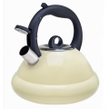 Stainless steel coffee stovetop tea kettle orange