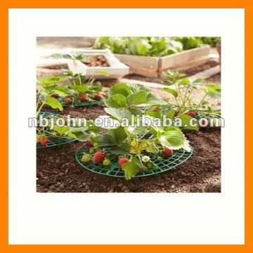 strawberry grids,plastic grids,garden grids