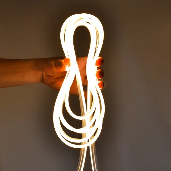 Silicone Encapsulated, DC12V/24V, SMD 2835 LED Neon Strip Light - 5M Roll with Waterproof Design