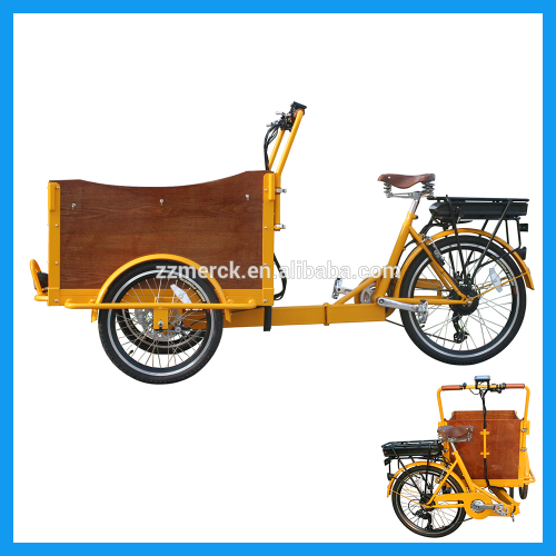 Family Used High Duty Pedelec Cargo Tricycle