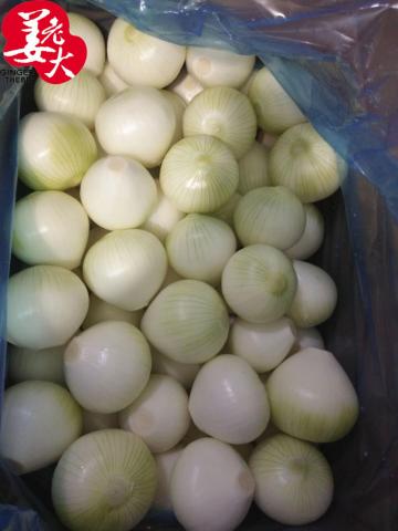 Fresh Peeled Yellow Onions