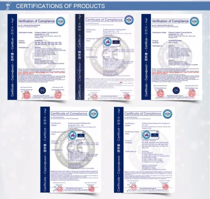 Portable Fresh Juice Dispenser