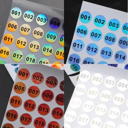 Transparent Kiss Cut Stickers for License Plate Concealment