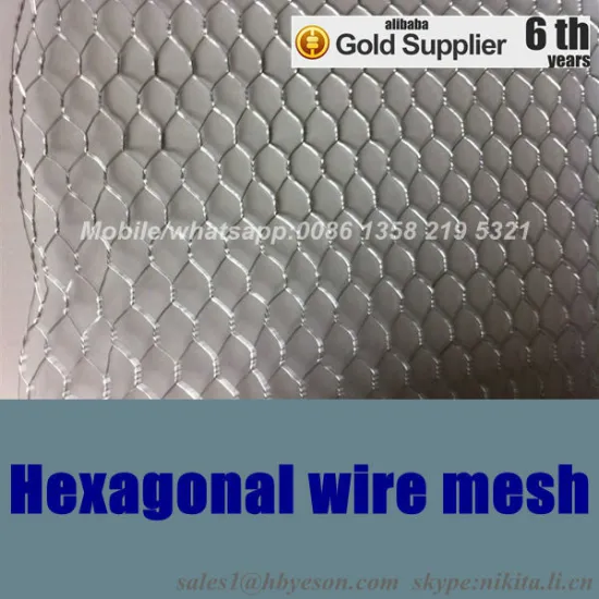 anping hexagonal mesh
