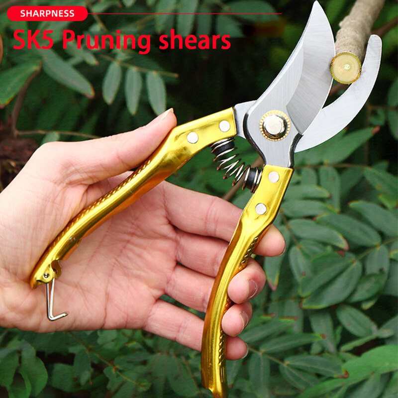 SK5 steel fruit cutting branch bypass pruning cutter garden bonsai pruner outdoor gardening tools