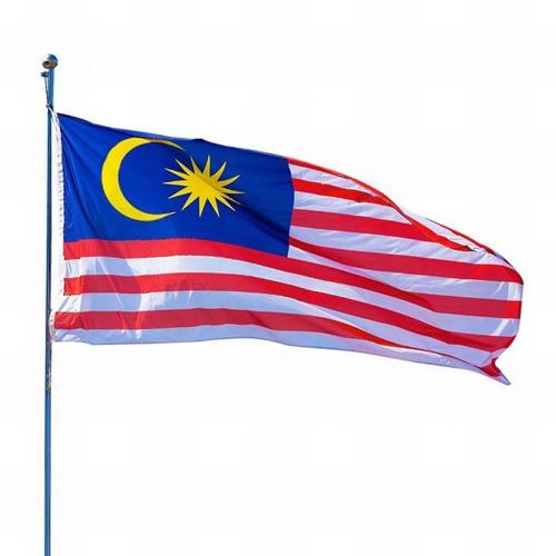 Competitive price 100% polyester flag line malaysia