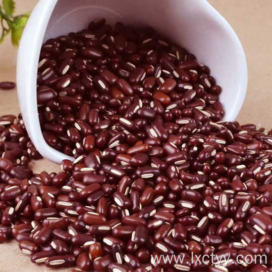 adzuki beans tea food