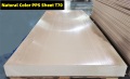 Groothandel PPS Plastic Sheet Engineering Materialen