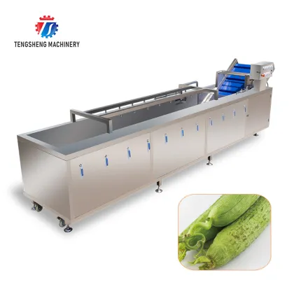 Commercial Vegetable and Fruit Washing Machine