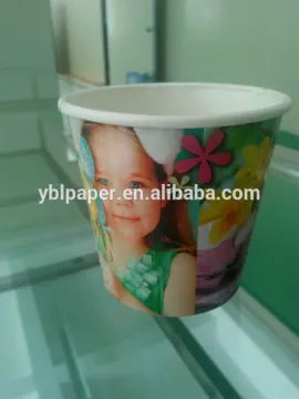 Custom Logo Printed Flower Paper Pot Cover