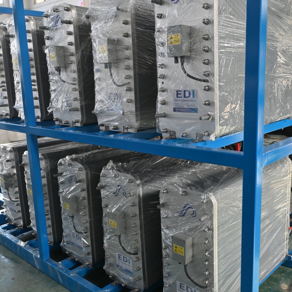 Electrodeionization System