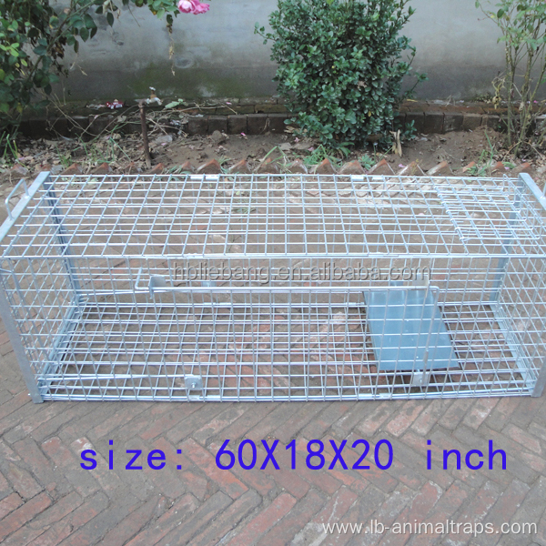 Humane Hunting Live Animal Cage Traps