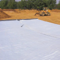 Blanket Geosynthetic Clay Liner Bentonite Woven Geotextile