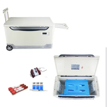PCM Ice Brick for Cold Chain Delivery: +25°C Ice Pack for Medicine Transport Cooler Box
