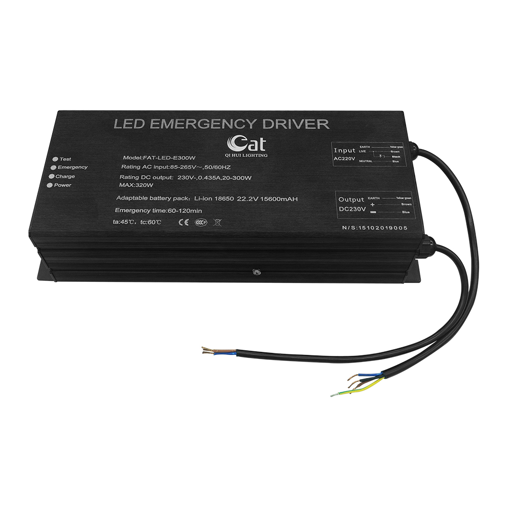 100W 200W 300W LED Emergency power supply