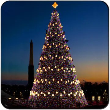 Outdoor Colorful large led decoration Christmas tree