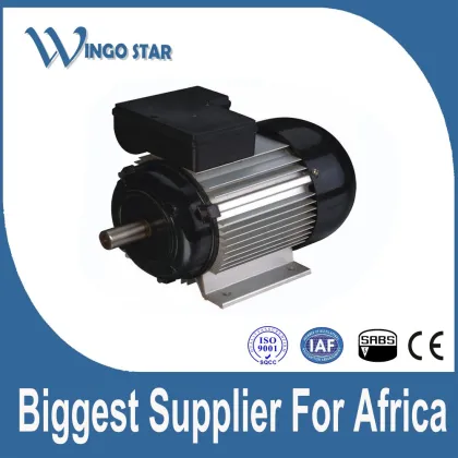 Asynchronous small electric motors