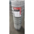 /msite/products/detail/productid/62742236/id/528770.html