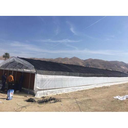 Gothic Arch Plastic Tunnel Greenhouse