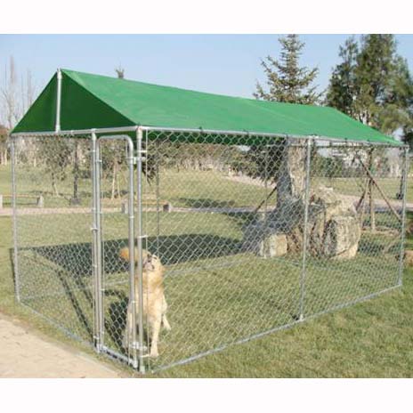 Chain Link Dog Kennel space