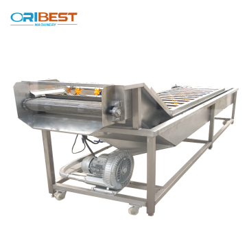 High Water Spraying Fruit Washer & Coffee Bean Cleaning Machine - Price