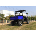 Lado a lado 4x4 EFI Cama UTV Colofal