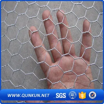 galvanized hexagonal mesh for Bird-cage