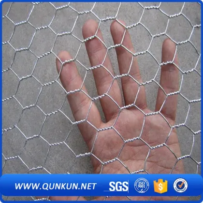 Hexagonal wire mesh in iron wire mesh