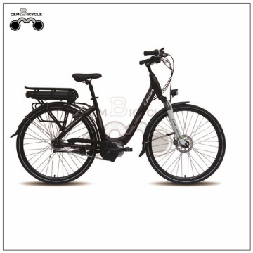 EBIKE COMPANY WHOLESALE ELECTRIC BATTERY LI-ION BIKE ELERTRIC BIKE