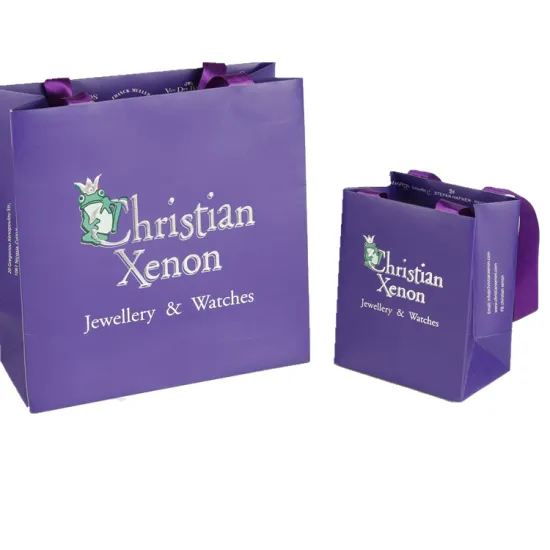 Coloured Paper Grocery Shopping Bags with Handles