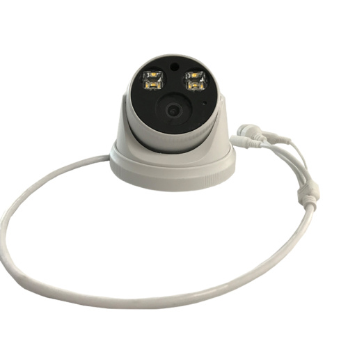 Full Color Day and Night Dome IP Camera