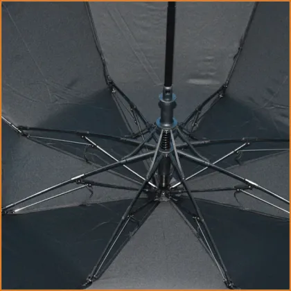 Shenzhen manufacturer Lanbo windproof 2 fold umbrella with fiberglass ribs