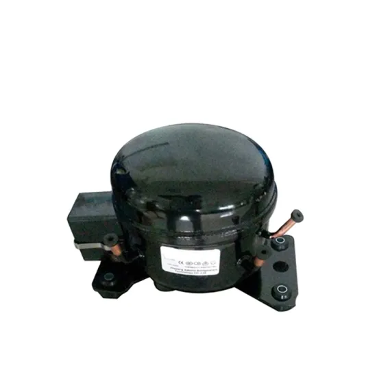 120 Volt Gas Used in Compressor of Made in China Refrigerators