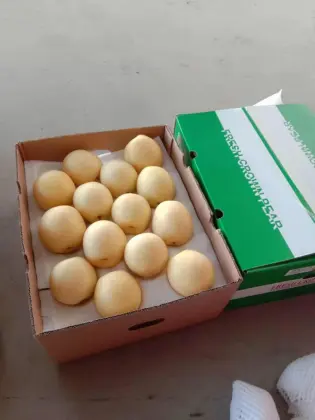 Organic fresh pear fruit