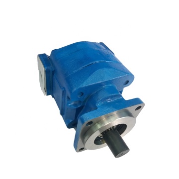 Hochdruck Parker P30 P31 Hydrauliklagergetriebepumpe und Motor: Spezifikationen, Anwendungen und Leistung