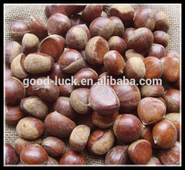 2015 Crop Chinese Fresh Chestnut, Lower Price