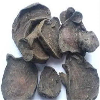 brown radix aconiti kusnezoffii cao wu chinese medicine