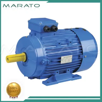 Popular small ms electric motor