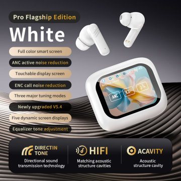 ANC Earbuds with LCD Screen and Touch