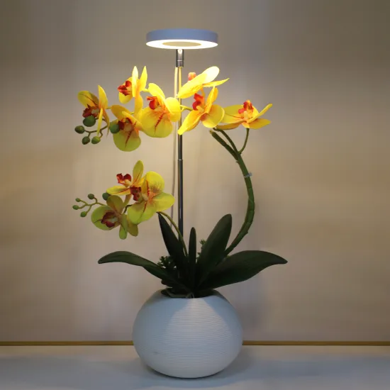 Height Adjustable USB Clip Grow Light with Halo Ring and Timer for Indoor Plants